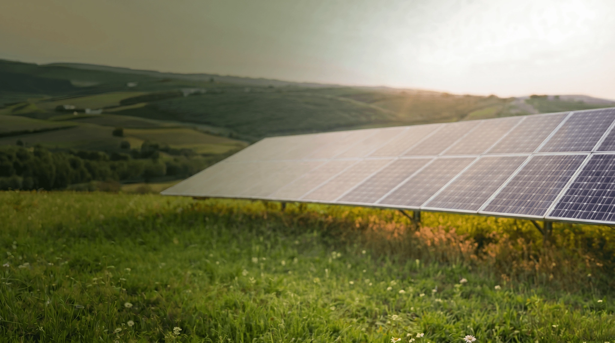 Gün batımında yeşil tepelerde güneş panelleri