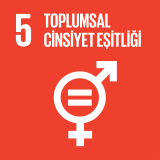 SKA 5: Toplumsal Cinsiyet Eşitliği