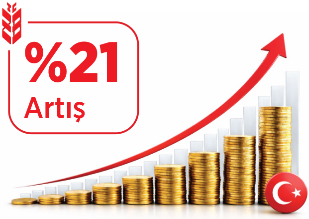 %21 Artış - 2019