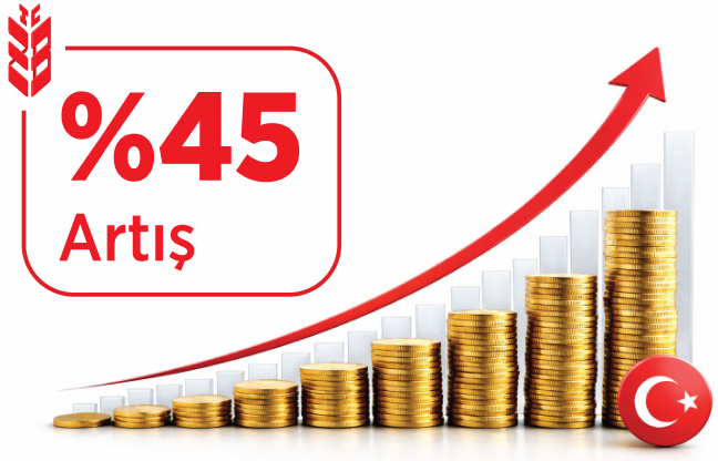 %45 Artış - 2021