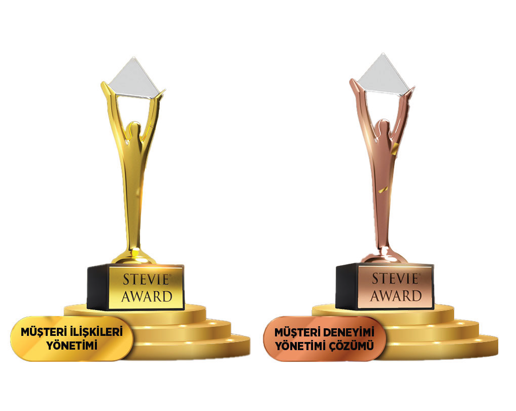 Stevie Awards 2025